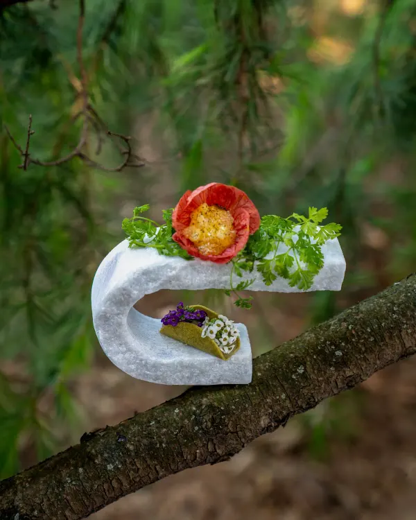 Pipilacha